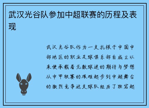 武汉光谷队参加中超联赛的历程及表现