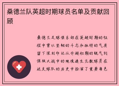 桑德兰队英超时期球员名单及贡献回顾