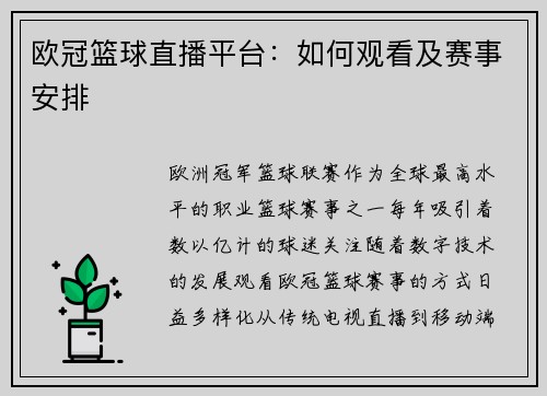欧冠篮球直播平台：如何观看及赛事安排